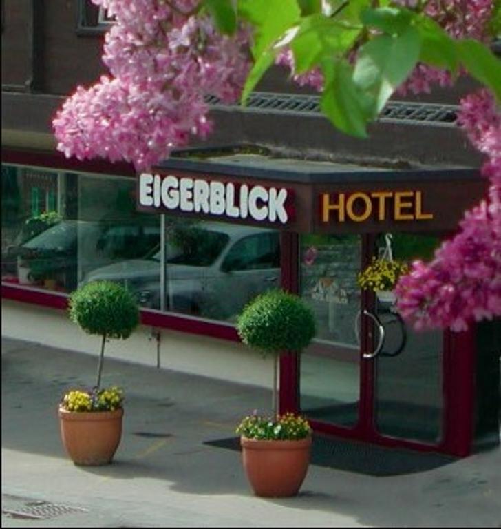 Hotel Eigerblick Grindelwald Esterno foto