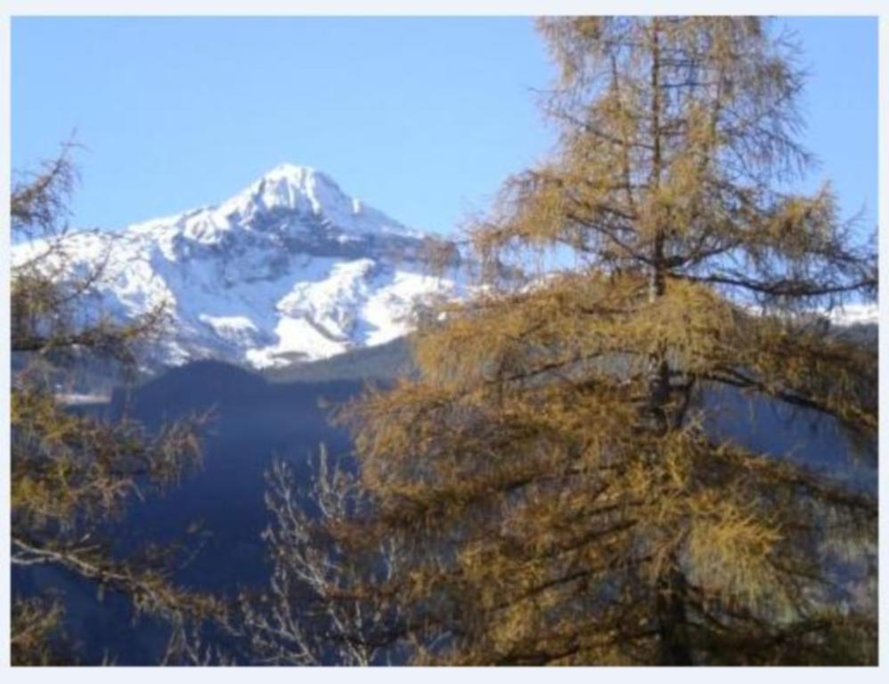 Hotel Eigerblick Grindelwald Esterno foto